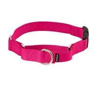 PetSafe Martingale Quick-Snap Dog Collar, Raspberry Pink, 3/8 in, Petite