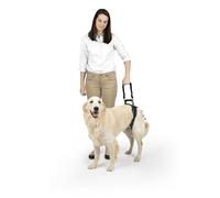 PetSafe Rear Support Harness - Lifting aid with handle - Great for pet mobility and older dogs - Comfortable, breathable material - Easy to adjust - Large, CareLift