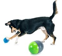 PetSafe Ricochet Electronic Dog Toys, Interactive Sound Game for Pets, Paired E