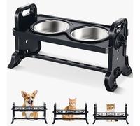 Petslucent Cat Bowls Dog Bowls: Adjustable Cat Food Bowls Pet Bowls - Easy to Clean & Non-Slip Silicone Mat Cat Feeder - Stand Anti Vomiting with 2 Stainless Steel Bowls for Cats and Puppy