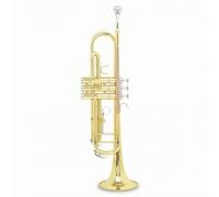 PETSOLA Brass Trumpet Bb Standard Instrument Valve Wind Brass Student Cornet Style smooth valve action and portable design for suitable for school bands daily rehearsal live performances
