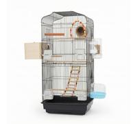 PETSOLA Large Bird Cage Enclosure Parrot Habitat Aviary With Curved Top Ventilated Pull Out Tray Open Layout Suitable for apartments living rooms bird rooms, Array, Black, Professional