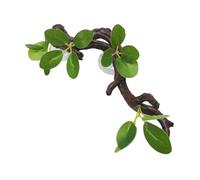 PETSOLA Reptile Corner Branch Branch Aquarium Simulation Terrarium Decor with Resin Material Suitable for Fish Home Decoration Re, green leaves
