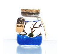 PETSTARCX Aegagropila Linnaei Moss Balls Glass Multi Color Aquarium Kit Micro LandscapeHouseplant HomeOfficeGlass Decorative Bottle Birthday Gift (4)