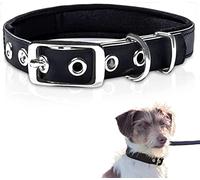 PetTec Comfortable Dog Collar, Permanent & Robust; Made with Strong, Tear Resistant Trioflex, Perfect Size for Big or Small Dogs, Great Fit with Padding Weatherproof and Waterproof (Black)