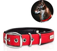 PetTec Comfortable Dog Collar, Permanent & Robust; Made with Strong, Tear Resistant Trioflex, Perfect Size for Big or Small Dogs, Great Fit with Padding Weatherproof and Waterproof (Red)