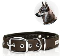 PetTec Comfortable Dog Collar, Permanent & Robust; Made with Strong, Tear Resistant Trioflex, Perfect Size for Big or Small Dogs, Great Fit with Padding Weatherproof and Waterproof (Brown)