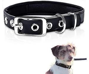 PetTec Comfortable Dog Collar, Permanent & Robust; Made with Strong, Tear Resistant Trioflex, Perfect Size for Big or Small Dogs, Great Fit with Padding Weatherproof and Waterproof (Black)