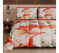 PETTI Artigiani Italiani - Winter Christmas Double Duvet, Double-Sided Quilt, Solid Color and Digital Print, Xmas 16, Made in Italy