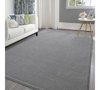 Pettop Area Rugs for Bedroom Living Room, 4x6 Grey Thickened Memory-Foam Indoor Carpets, Modern Aesthetic Minimalist Super Soft Comfy Carpet for Boys Girls Adults Room Dorm Home Decor