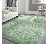 Pettop Fluffy Sage Green Rug for Bedroom Living Room, 5x8 Feet Rectangle Large Plush Fuzzy Carpet for Girls Kids Boys, Non-Slip and Washable Rug for Nursery Classroom Decor