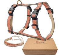 Pettsie No-Pull Dog Harness with Reflective Strips & Matching Bracelet - Adjustable Comfort Fit, Dual Leash Clips, Soft & Durable Hemp, Training & Walking Harness for Small, Medium & Large Dogs