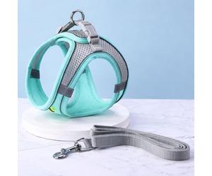 PetUuzzy Dog Harness Vest with Neck Release Buckle- No Pull Pet Harness with 2 Leash Clips-Adujstable Soft Padded Breathable-Reflective No-Choke with Easy Control for Training (Aqua, Extra Small)