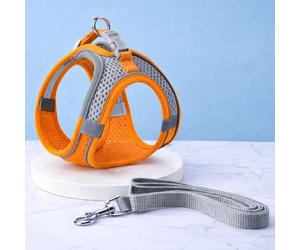 PetUuzzy Dog Harness Vest with Neck Release Buckle- No Pull Pet Harness with 2 Leash Clips-Adujstable Soft Padded Breathable-Reflective No-Choke with Easy Control for Training (Orange, Small)