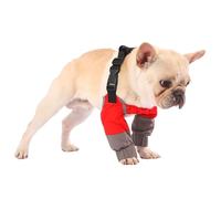 PetWarm Dog Front Leg Sleeves, Waterproof, Recovery Elbow and Knee Protector, All Season Dog Leg Sleeve for Medium Dogs, Post Surgery Protection, Grey, M