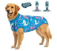 PetWarm Dog Recovery Suit After Surgery, Dog Bodysuit, Substitute E-Collar and Cone, Pet Surgery Recovery Suit, Female Male Onesie for Dogs Spay Neuter, Dinosaur Pattern, Multi-Colored, 2XL