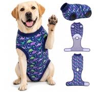 PetWarm Dog Recovery Suit, Onesies for Dogs, Dog Cone Alternative After Surgery Substitute E-Collar and Cone Prevent Licking Dog Onesies Pet Surgery Recovery Suit, Dinosaur Pattern, Blue Purple, 2XL