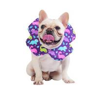 PetWarm Dog Surgery Collar, Dog Recovery Collar, Flower Design Protect Stitches After Procedures, Feeding And Drinking Without Bumping, Crate Rest After Spay Or Neuter, Dinosaur Pattern, Purple, L