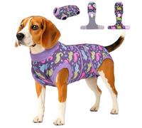 PetWarm Male Dog Surgical Suit After Neuter, Dog Coat's Inner Clothes, Substitute E-Collar and Cone, Onesie for Dogs, Pet Surgery Recovery Suit for Dogs, Dinosaur Pattern, Purple, S