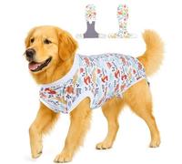 PetWarm Male Dog Surgical Suit After Neuter, Onesies for Dogs, Bodysuit for Abdominal Affected Areas Sensitive Skin Areas, E Collar Alternative, Dog Post Surgery Suit, Dinosaur Pattern, White, XL