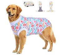 PetWarm Post Neuter Surgery Suit for Dogs Male, E Collar Alternative for Dogs After Surgery, Anti-Licking Dog Surgery Recovery Suit Dog Bodysuit, Dinosaur Pattern, White, 2XL