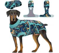 PetWarm Surgery Suit for Dogs Male, Dog Bodysuit, Cone Alternative After Surgery Suit for Dogs, Dog Onesie for Spay Neuter, Pet Recovery Shirt, Dinosaur Pattern, Green, 2XL