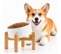 Petygooing White Raised/Elevated 15°Slanted Ceramic Dog Bowl for Small Breeds,Tilted Anti Slip Pet Feeding Bowl,Food Water Dish with Stand for Cats and Small Dogs Puppy 13.5 OZ (5.1In / 1.7 Cups)