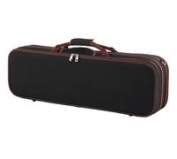 Petz 100VN Violin Case 3/4 BK/BR