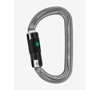 Petzl Am'D Carabiner grey