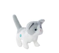PetZoo Kitty