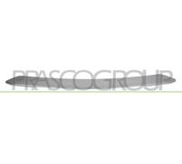 PRASCO PG5041255 Bumper moulding