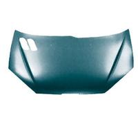PEUGEOT 206 2000- CC Peugeot 206 98-07 Bonnet PG0093100