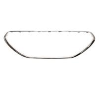 PRASCO PG3262206 Trim / Protective Strip, radiator grille
