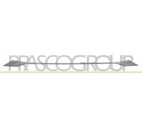 Peugeot 3008/5008 2021- Front Bumper Moulding Centre Section PG5252206 (37440)