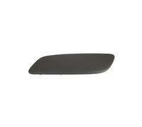 PRASCO PG4221234 Bumper moulding