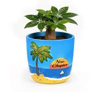 PEVOROS Retirement Gift for Women, Succulent Pots 5 Inch Happy Retirement Decorative Planter, Retiree, Resin Garden Planters Gardening Gifts for Gardeners, Flower Windowsill Gift for Indoor Plants