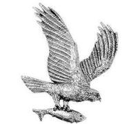 Pewter Osprey Sea hawk Bird Fish Brooch / Tie Pin / Lapel Pin / Badge Gift