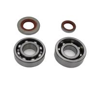 Pexorin Ball Bearing Oil Seal Set, for MS660 MS 066, Garden Gasoline Chainsaw Spare Parts 96400031850 95030036676 Chainsaw Crankshaft Bearing Kit