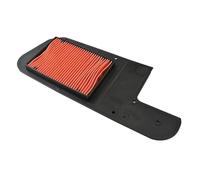 Pexorin Motorcycle Air Filter Engine Intake Cleaner, for Big Ruckus, 250 Reflex NSS250 Jazz250, forza250 FES250 High-Performance Air Filter