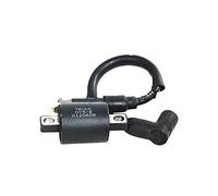 Pexorin Outboard 2 Stroke 6. 0 HP Outboard Motor Boat Motor Marine Engine Parts The Ignition Coil Boat Engine Outboard Marine Ignition Coil