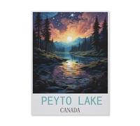 Peyto Lake Canada，Jigsaws Puzzles 1000 Pieces Classic Jigsaws Educational Games Toys，Best Gift for Adults and Kids（50x70cm）-FK31