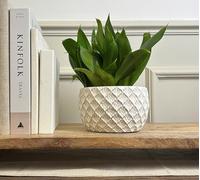 pf+a Decorative Ceramic Planters - Rustic Diamond Pattern Planter, Round Plant Pot, 16 cm, White