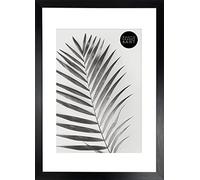 pf+a Oxford Black Frame For 10x8 Photo - GLASS Window - Premium Modern Thin Picture Frame / 14x11 For 10x8 White Mount Photo Frame