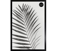 pf+a REAL GLASS 18x12 inch Photo Frame - Oxford Black Photo 18x12 inches - 30x45cm Black Frame