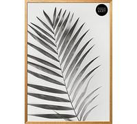 pf+a Winchester 40x50cm Wood Frame - Perspex Window - Wooden Oak Premium Photo Picture Frames For 40x50 cm