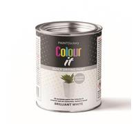 PF Paint Factory Colour It Tin Gloss White 300ML | Durable Quick-Drying Brush-On Paint for Interior & Exterior Multi-Purpose Use