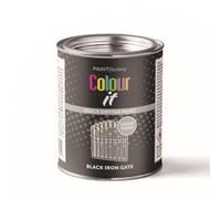 PF Paint Factory Colour It Tin Paint Iron Gate Gloss Black 300ML | Durable - Quick-Drying Brush-On Paint | Multi-Purpose Paint for Interior & Exterior Gates, Railings & More