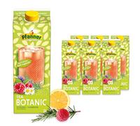 Pfanner Iced Tea Botanic Tea Raspberry Rosemary Limited Edition in Storage Pack - Herbal Tea Refined with Raspberry Juice and Rosemary Flavour (6 x 2 L)