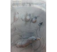 PFEIL #18 - BODY