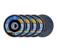 PFERD SET PFC Flap Disc Steel/INOX Dia 125mm Bore 22.23mm